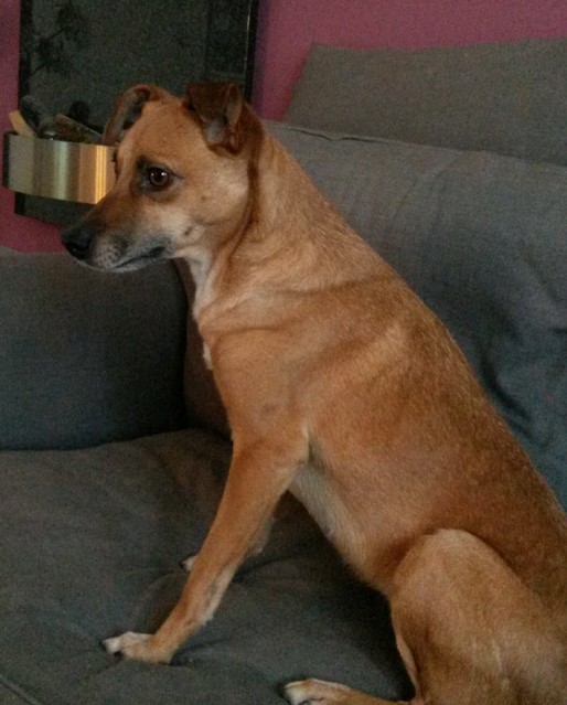 20171227_105444~2 (Kopie).jpg