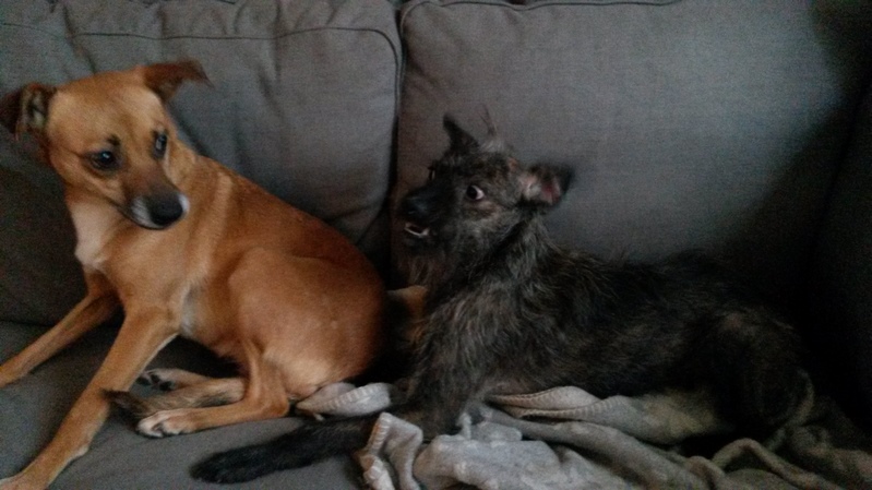 Hier nochmal mit Marie