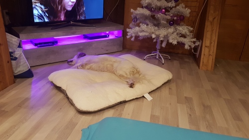 IMG-20180101-WA0028.jpeg