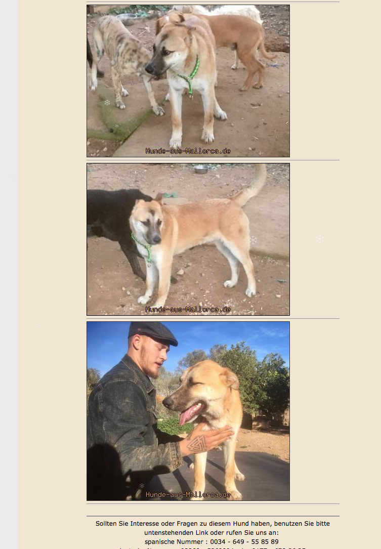 Bildschirmfoto 2018-01-24 um 13.31.25.png