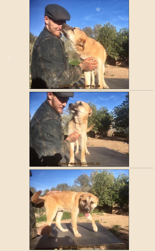 Bildschirmfoto 2018-01-24 um 13.32.04.png