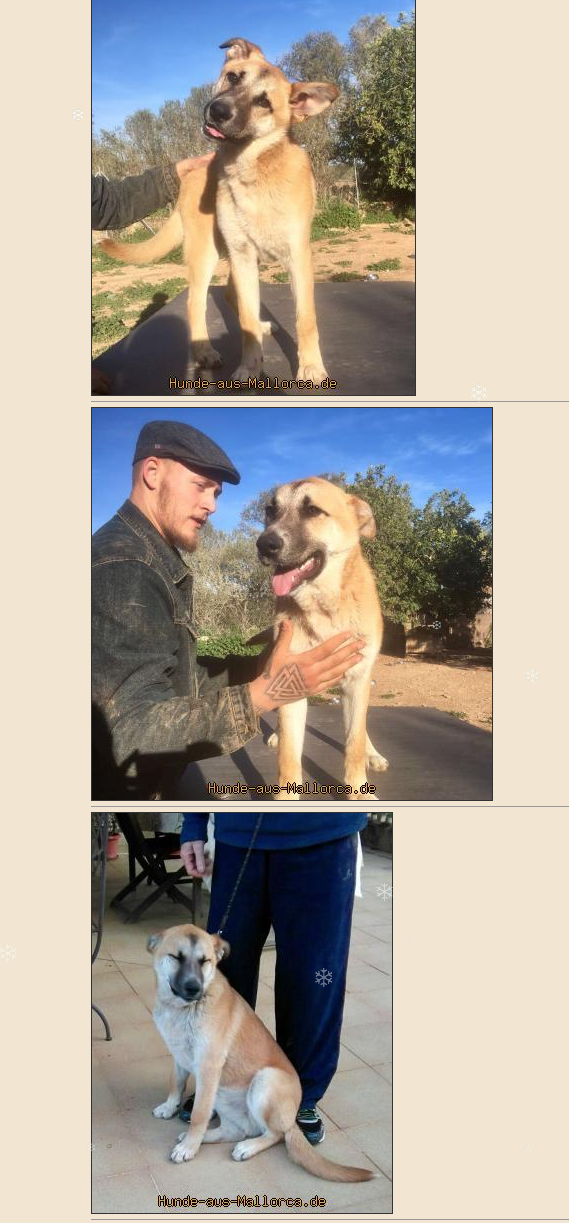 Bildschirmfoto 2018-01-24 um 13.32.21.png