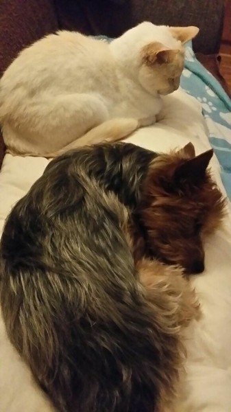 Rositha mit Freundin.jpg