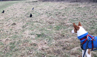 Bildschirmfoto 2018-02-17 um 18.42.06.png