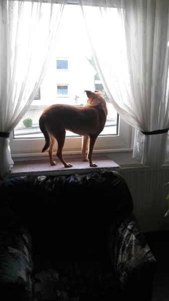 Vida hat alles im Griff bzw. Blick.jpg