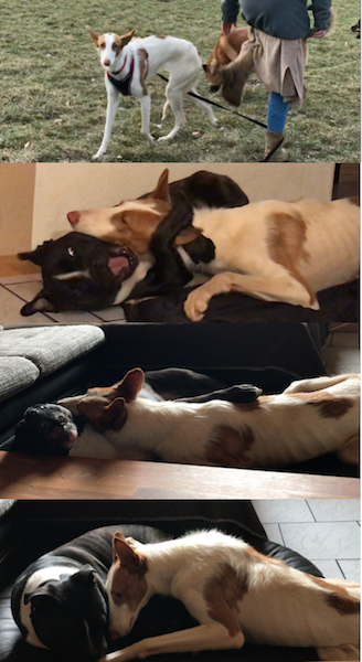 Bildschirmfoto 2018-02-20 um 13.54.10.png
