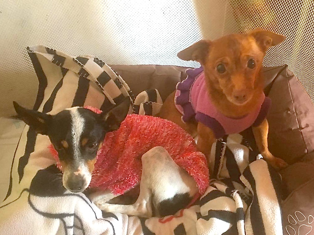 IMG_4119 - Arbeitskopie 2.JPG