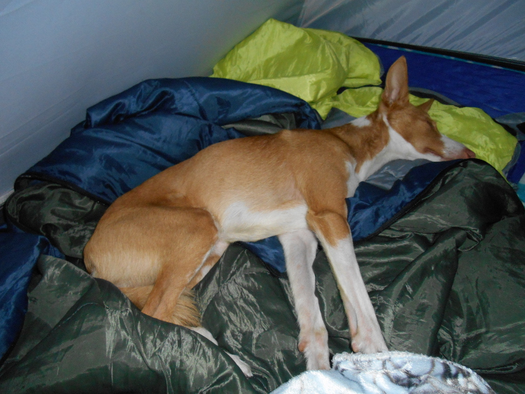 05.JPG