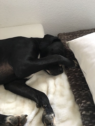 Gnihihihihi Mama ist peinlich.jpg