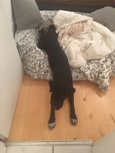 Ich stehe gleich auf gleeeeeeiiiiiiich.jpg