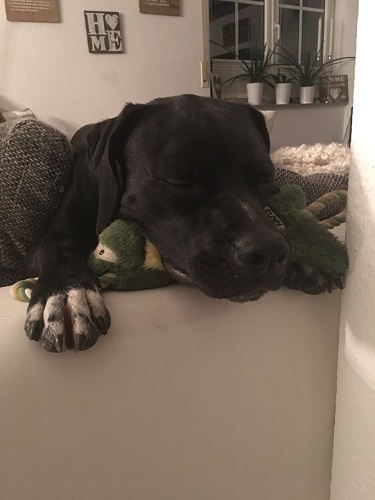 Sleepy.jpg