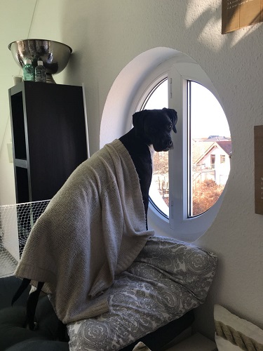 Dick eingepackt die Wintersonne anschauen.JPG