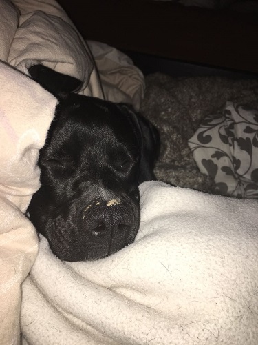 I am soooo sleepy.JPG