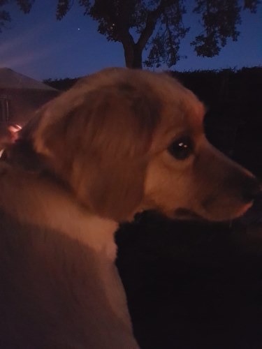 IMG-20180725-WA0007.jpg