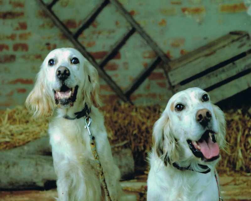 Sophia und Inca.jpg