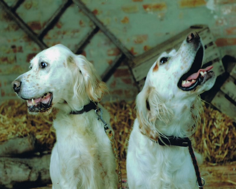 Sophia und Inca01.jpg