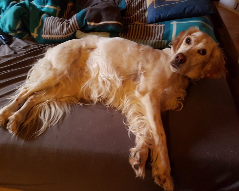20180902_103743.jpg
