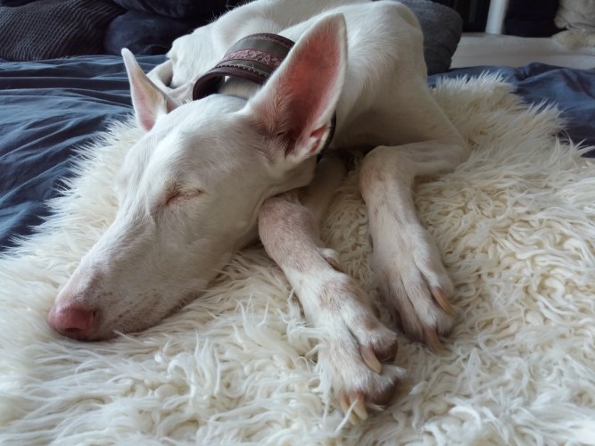 20180819_123953.jpg