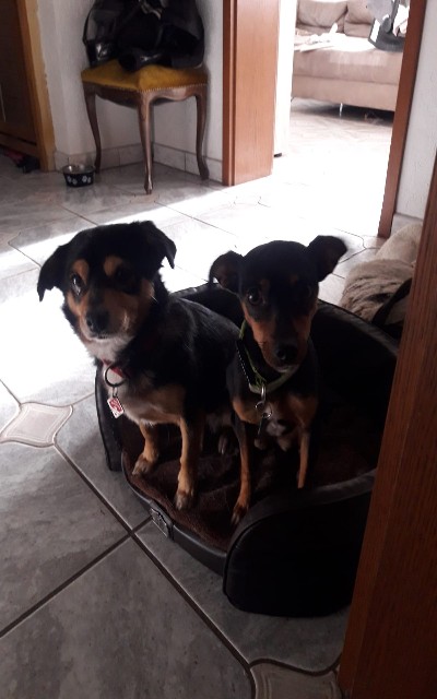 IMG-20181028-WA0000-400x640.jpg