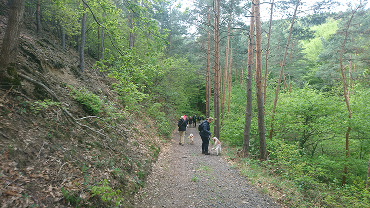 SetterTourSilke_HaM_02.jpg