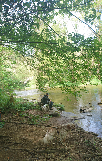 SetterTourSilke_HaM_04.jpg