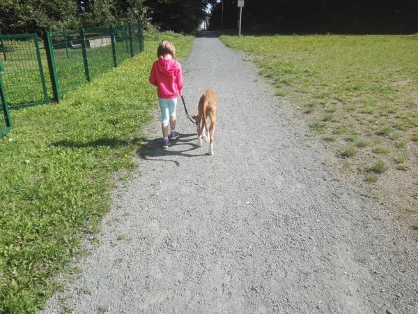 IMG-20190821-WA0005.jpg