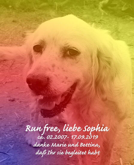 SOPHIA_HaM_bear.jpg