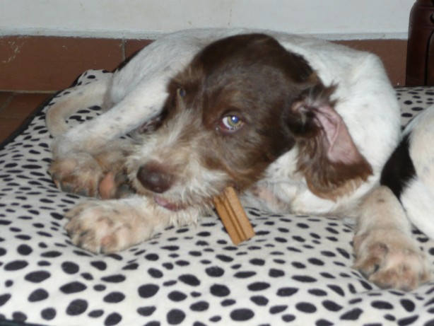 2P1000095.JPG