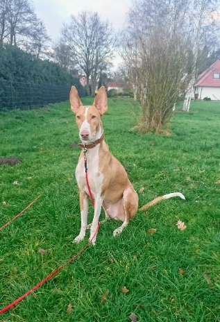Thilo_2-317x464.JPG