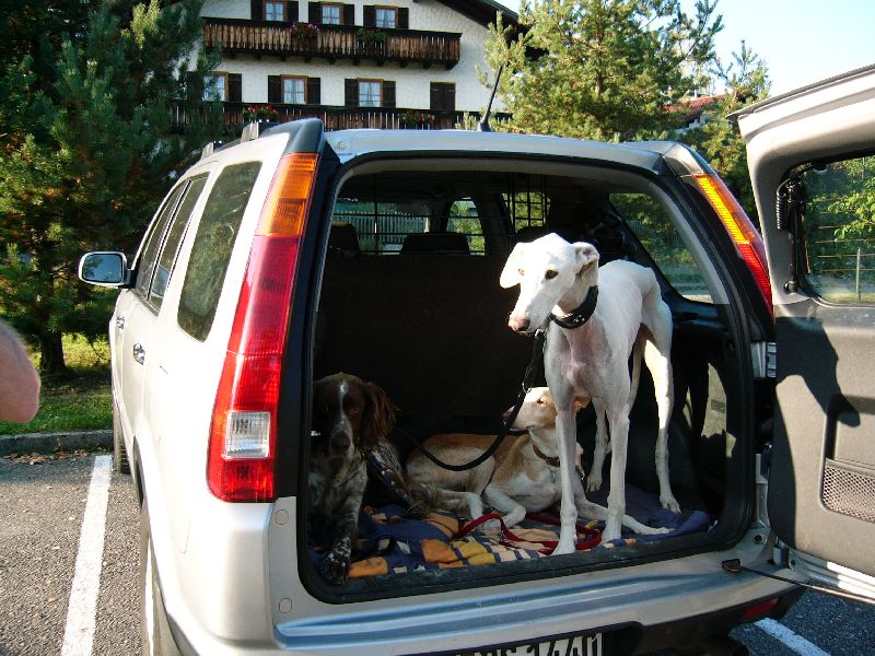 ZOTTL macht Urlaub in Bayern_02.jpg