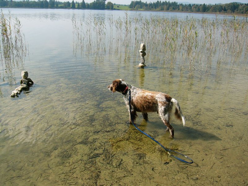 ZOTTL macht Urlaub in Bayern_04.jpg