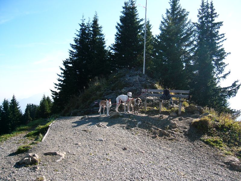 ZOTTL macht Urlaub in Bayern_06.jpg