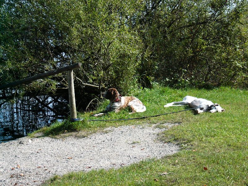 ZOTTL macht Urlaub in Bayern_07.jpg