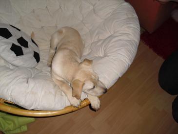 Bild 019.JPG