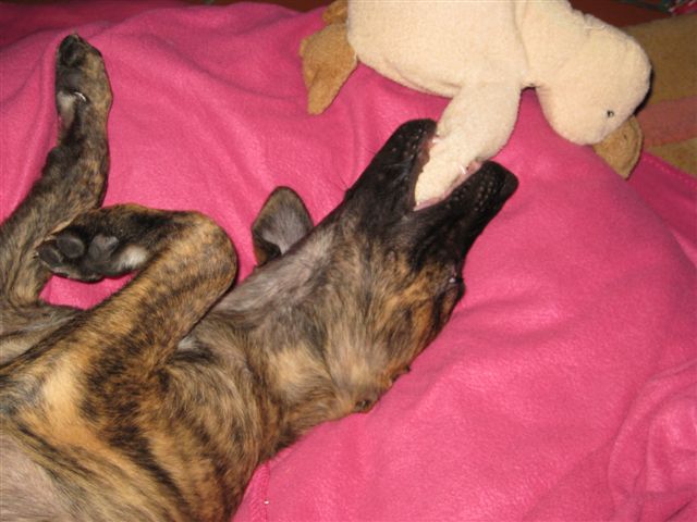 IMG1_0468.JPG