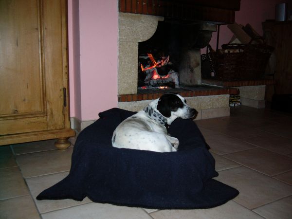 Quin 009_600_450.jpg