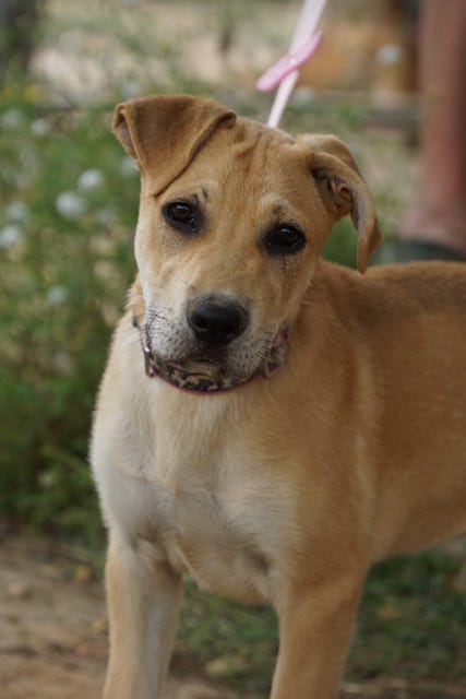 WhatsApp Image 2021-06-18 at 15.12.13.jpeg