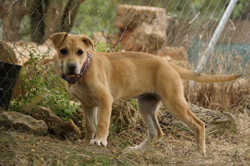 WhatsApp Image 2021-06-18 at 15.12.12 (1).jpeg