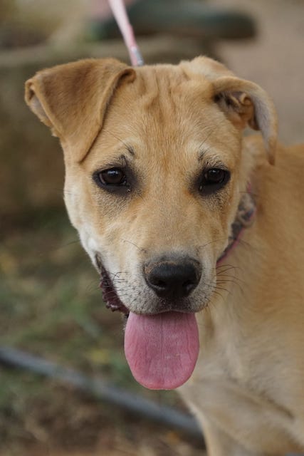 WhatsApp Image 2021-06-18 at 15.12.12.jpeg