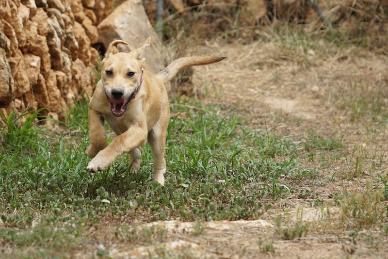 WhatsApp Image 2021-06-18 at 15.12.13 (1).jpeg