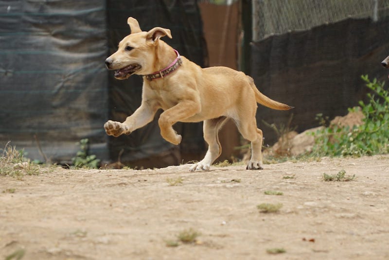 WhatsApp Image 2021-06-18 at 15.12.13 (2).jpeg