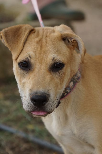 WhatsApp Image 2021-06-18 at 15.12.13 (3).jpeg