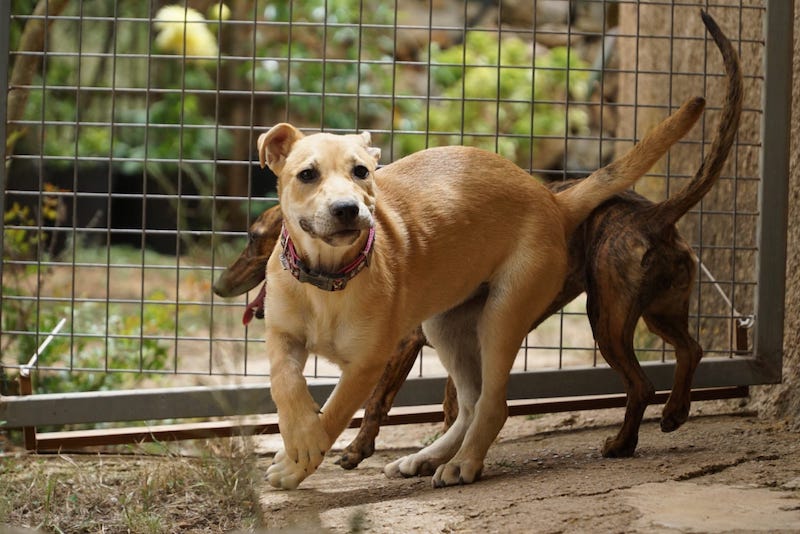 WhatsApp Image 2021-06-18 at 15.12.13 (4).jpeg