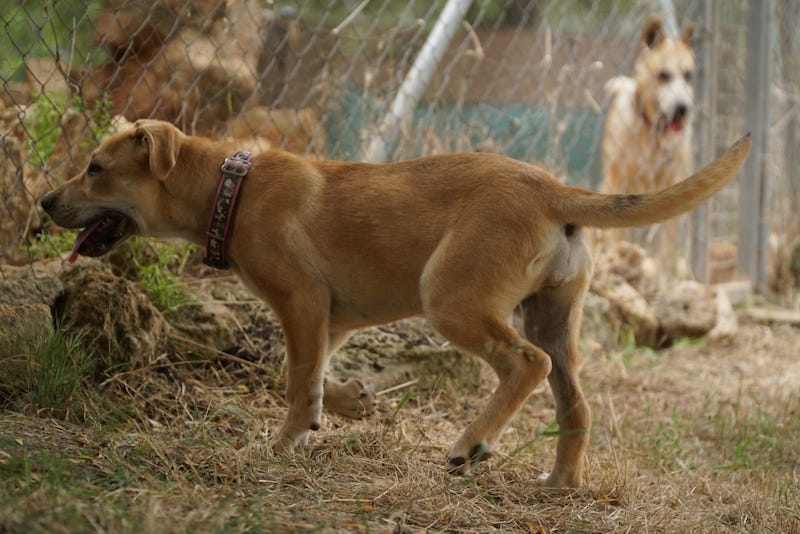 WhatsApp Image 2021-06-18 at 15.12.13 (6).jpeg