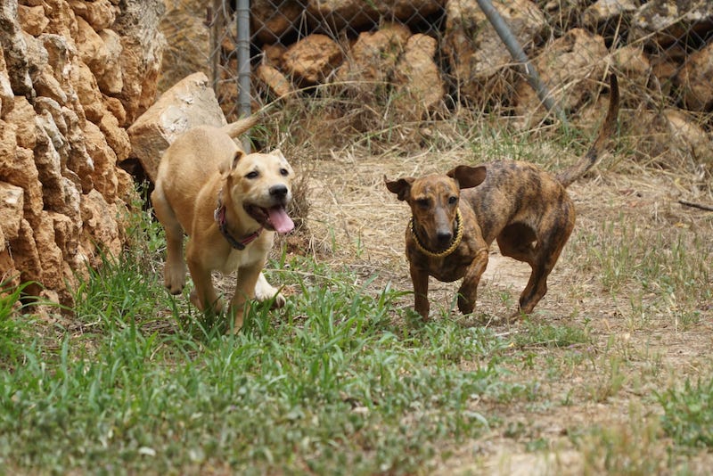 WhatsApp Image 2021-06-18 at 15.12.14 (1).jpeg