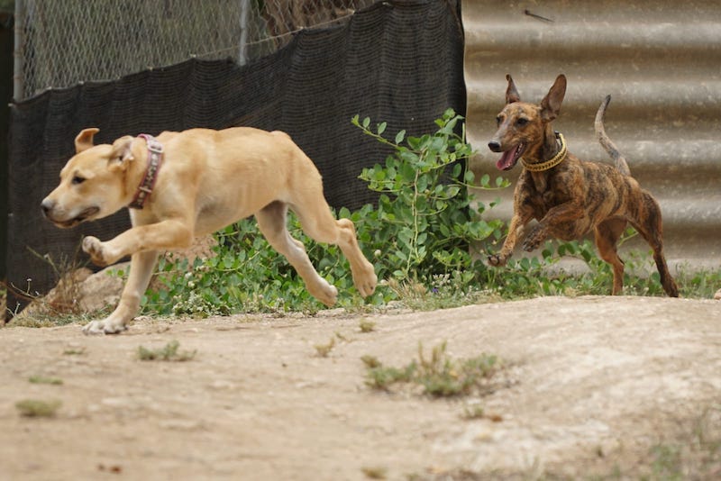 WhatsApp Image 2021-06-18 at 15.12.14 (2).jpeg