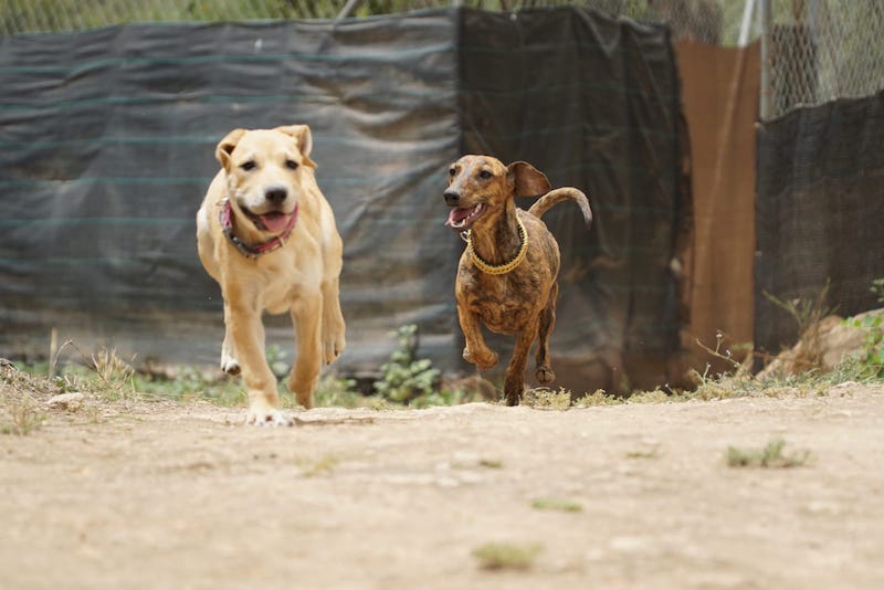 WhatsApp Image 2021-06-18 at 15.12.14 (3).jpeg