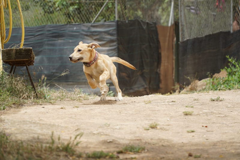 WhatsApp Image 2021-06-18 at 15.12.14.jpeg