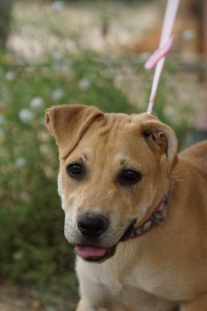 WhatsApp Image 2021-06-18 at 15.12.13 (5).jpeg