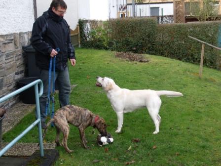 spaziergang 06.12 002.jpg